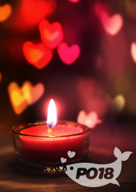 ��������£��Ŵ�NP��