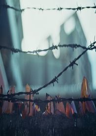 �ڵ�����������